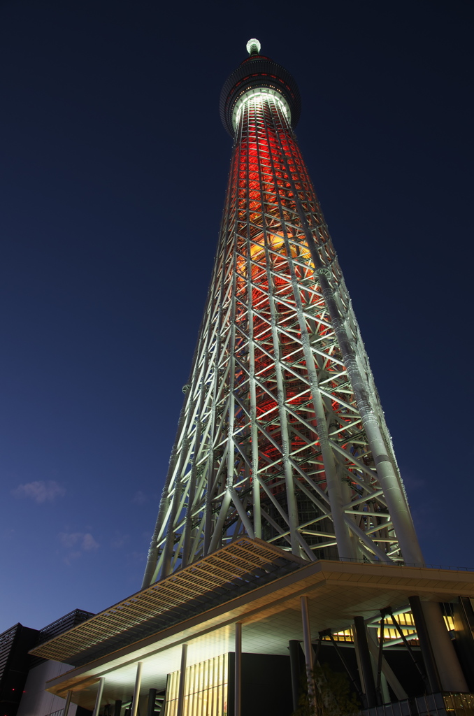 クリスマスライトアップ１