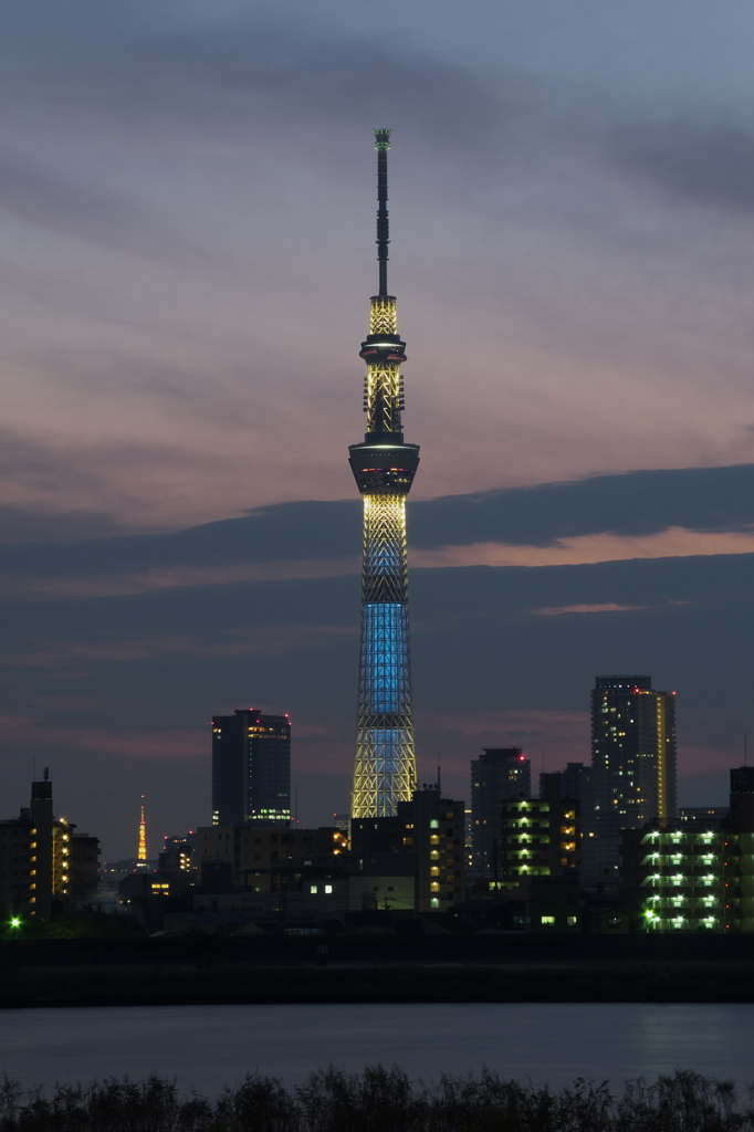 TOKYO SKYTREE