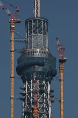 スカイツリー 回顧録_１２３