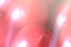 狼桃トマト