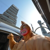 Kinnikuman