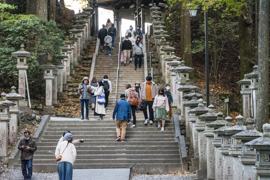 三峯神社　参道