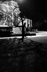 shadow