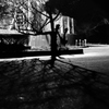 shadow