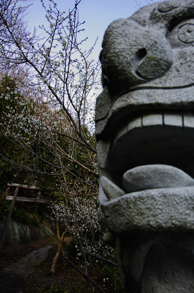 guardian
