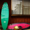 quiver