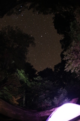 星とテントと屋久杉と