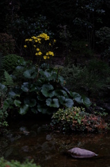 長居公園 Ⅳ