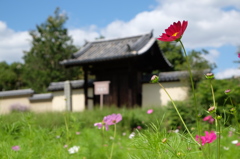 法起寺の風景（西門）