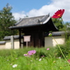 法起寺の風景（西門）