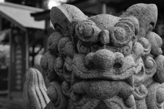 生國魂神社 狛犬