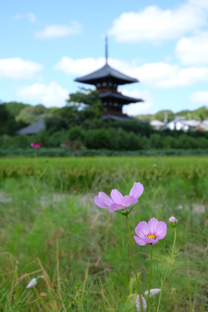 法起寺の風景（三重塔）