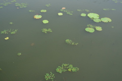 穏やかな湖面