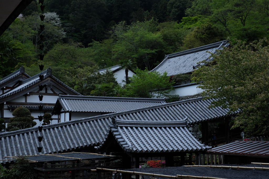 伽藍の甍