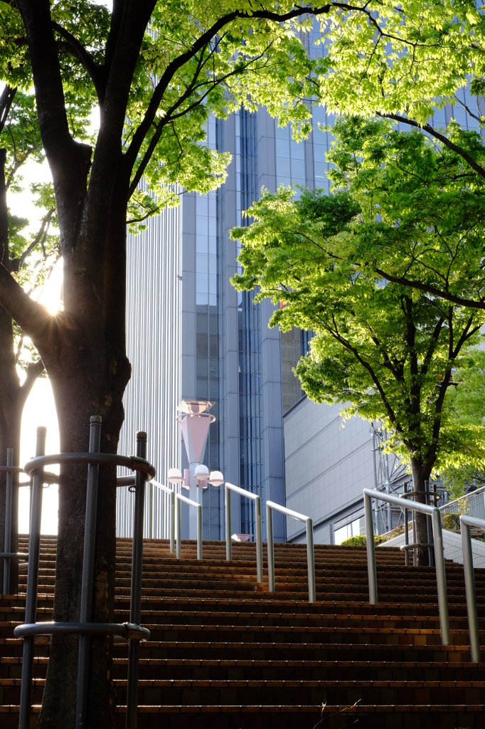 階段の風景①