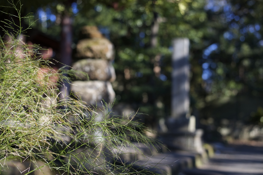 寿福寺