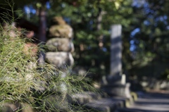 寿福寺