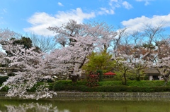鶴岡八幡宮