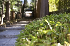 建長寺