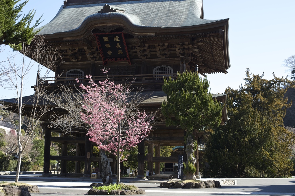 建長寺