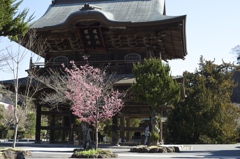 建長寺