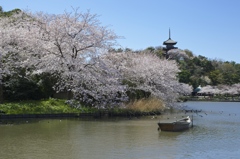 三溪園