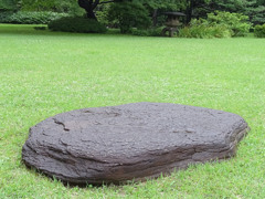 雨の六義園