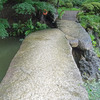 雨の六義園