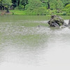 雨の六義園