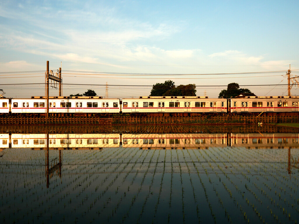 田園