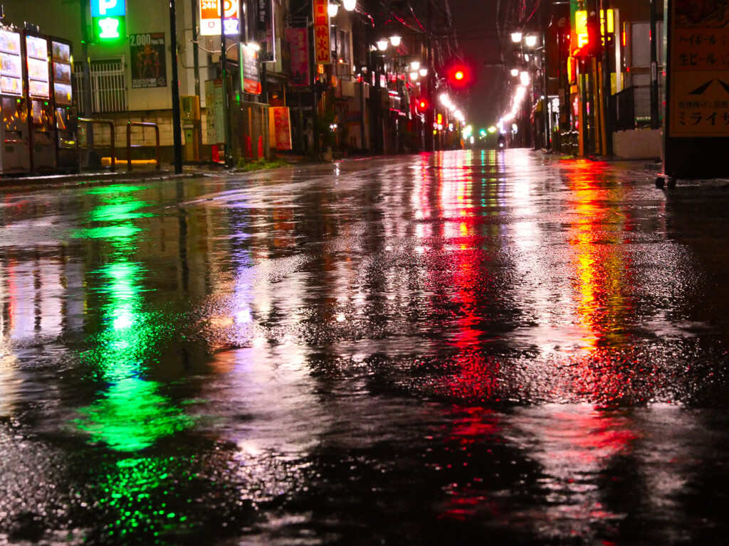 今日も雨