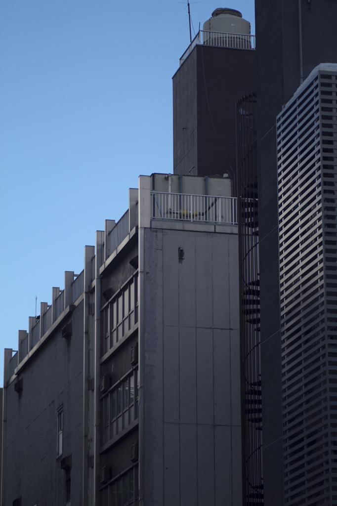 BLD.