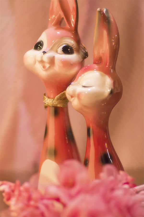 うさちゃん