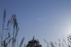 ひこうき雲