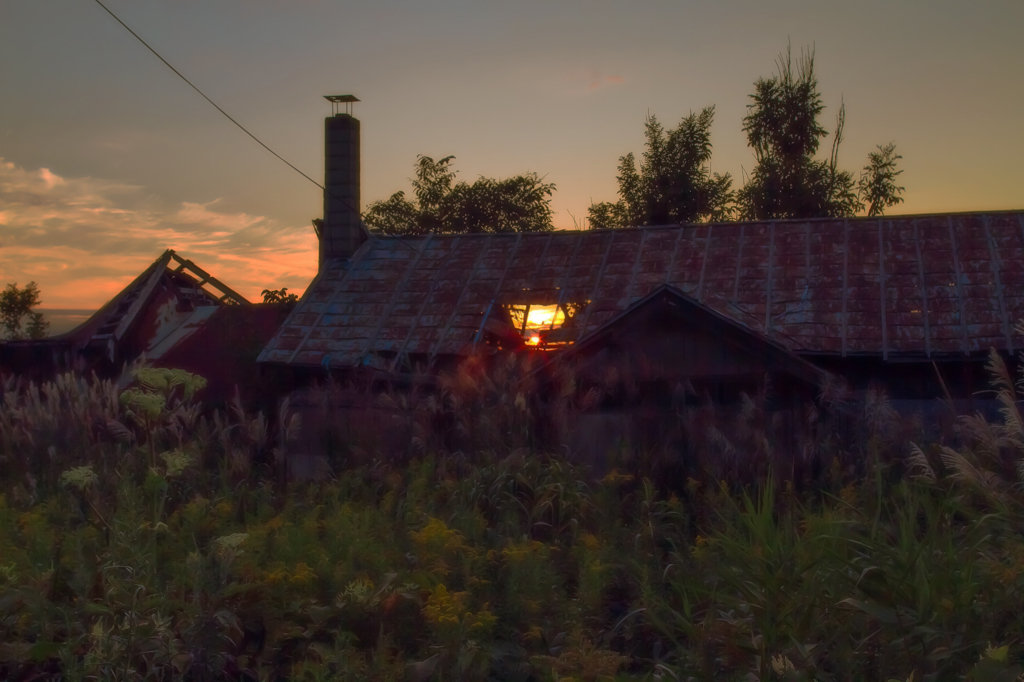 Fantasy House
