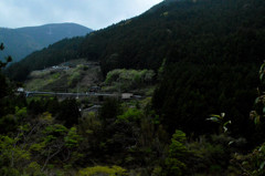 15.山下り