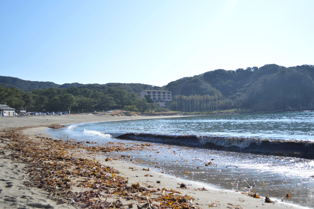 大量発生
