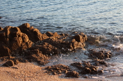 海
