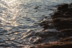 海