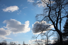 冬の空
