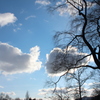 冬の空