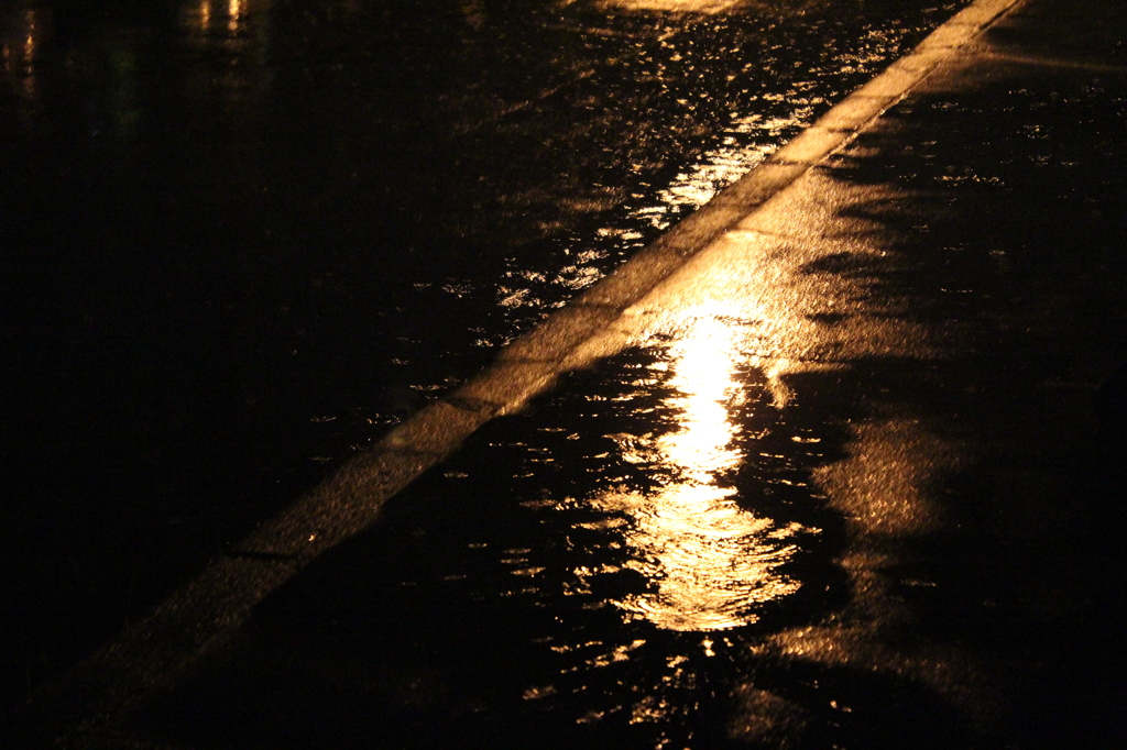 夜の雨