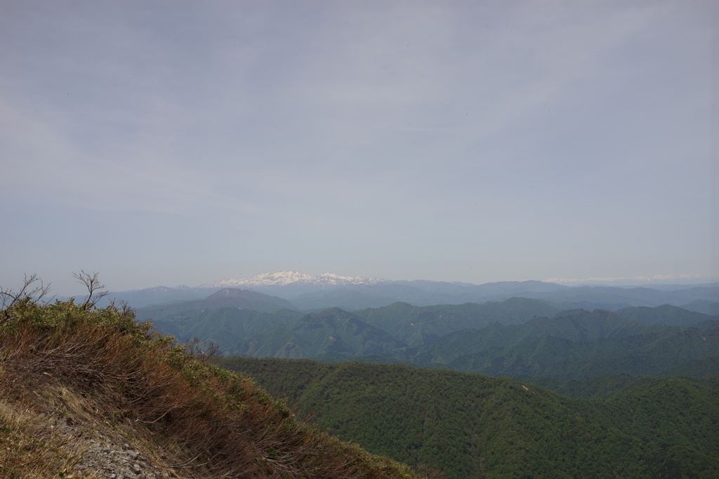 能郷白山からの白山