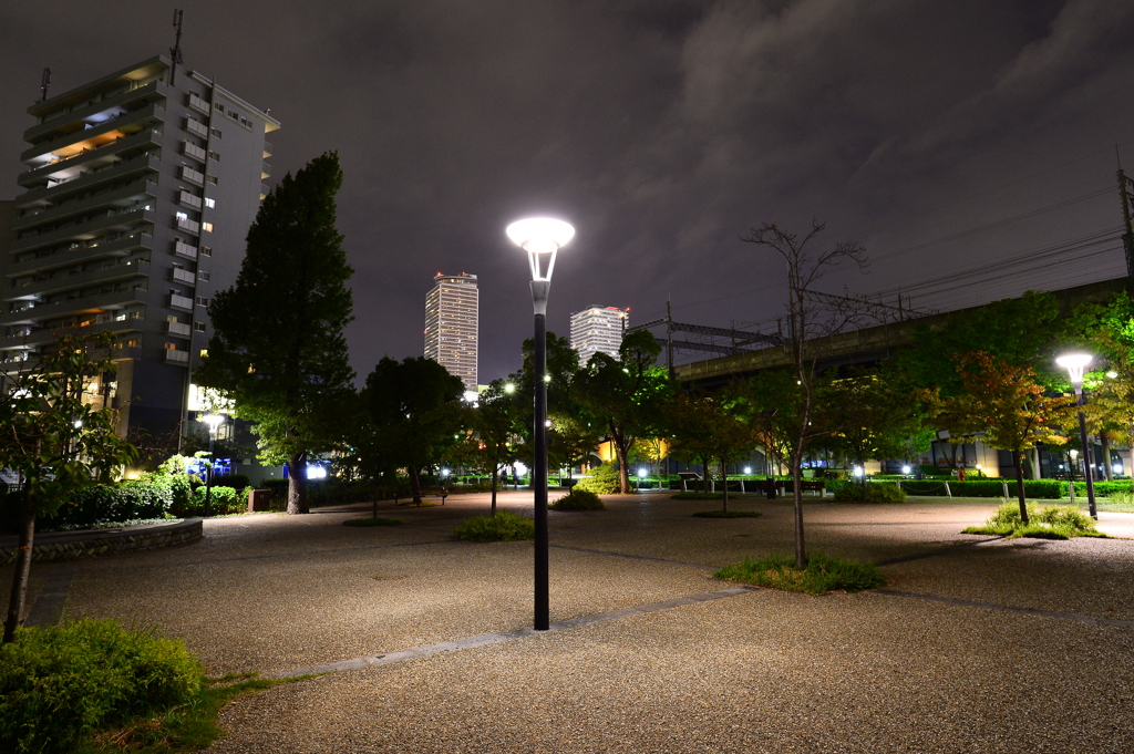 清水緑地（夜）　テスト7