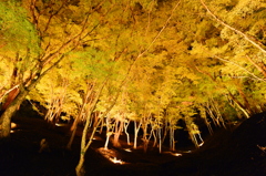 足助のライトアップ　DSC_9179