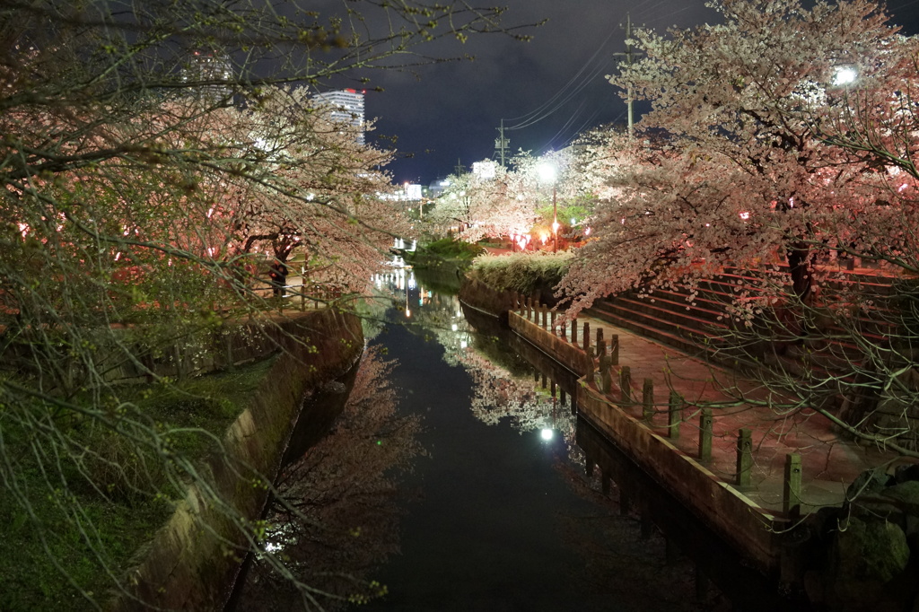 平成26年3月30日　岐阜市（清水緑地そば）