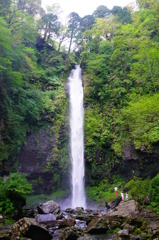 郡上　　阿弥陀ヶ滝　