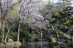 岐阜公園