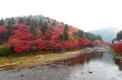 雨の香嵐渓