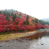 雨の香嵐渓